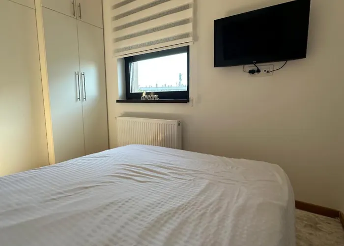 View Zlatibor-apartment-breza Daire