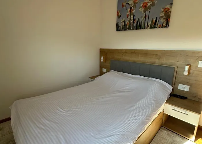 Apartman View Zlatibor-apartment-breza Zlatibor