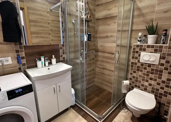 Daire View Zlatibor-apartment-breza