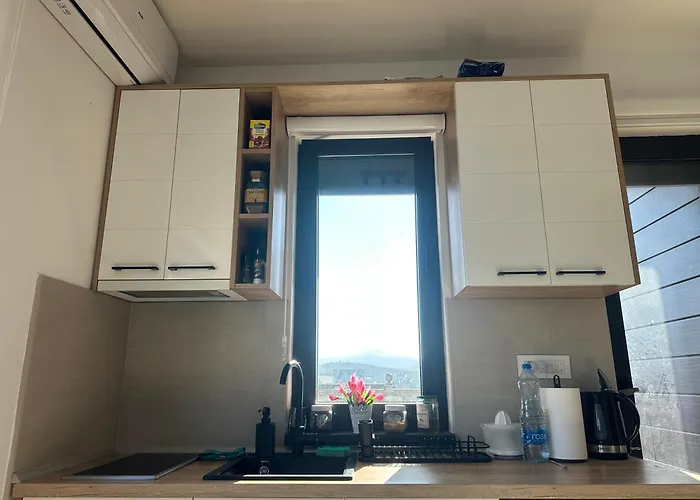 View Zlatibor-apartment-breza